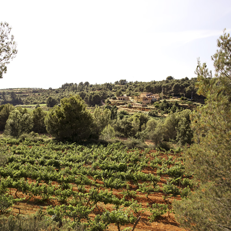 "Mas Miquel", the Mascaró estate