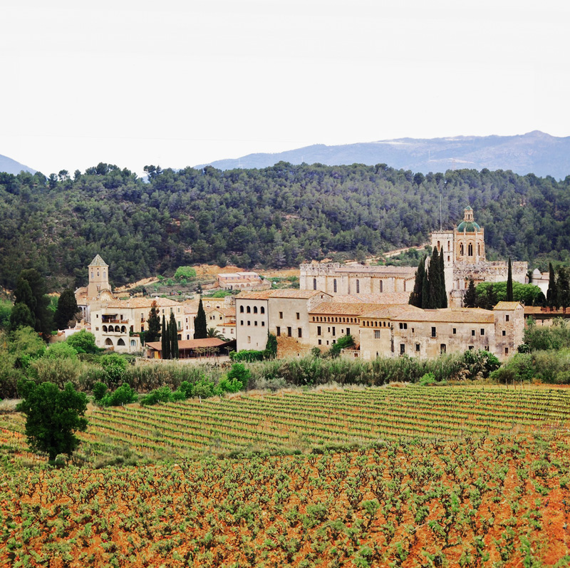 Mas Miquel, la finca de Mascaró