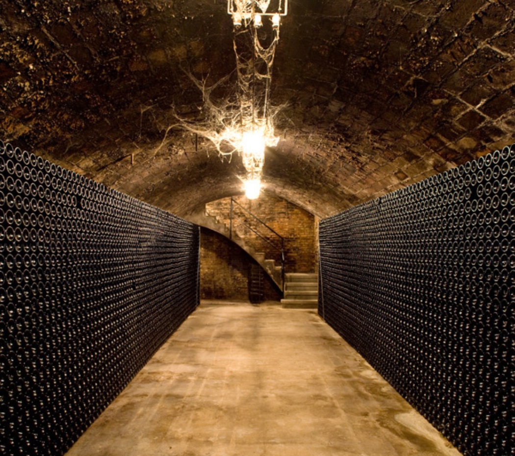 Bodega Mascaró, dedicación y experiencia.